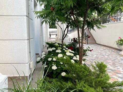 комерційна за адресою Михайла Максимовича вул. (Онуфрія Трутенка), 24