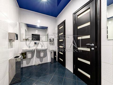 комерційна за адресою Гетьмана Павла Скоропадського вул. (Льва Толстого), 39