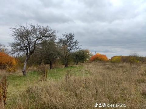 ділянка за адресою Незалежності, 2