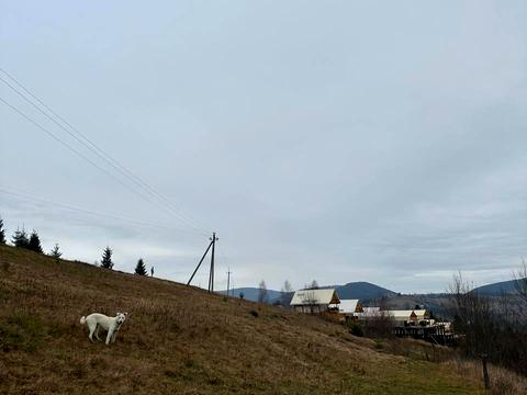 участок по адресу 