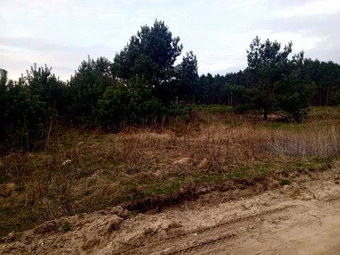 ділянка за адресою Лісова вул.