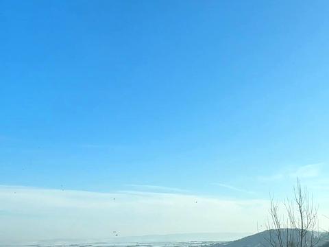 ділянка за адресою Молодіжна