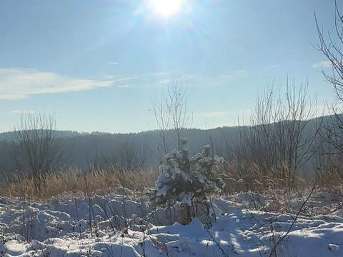 ділянка за адресою Молодіжна