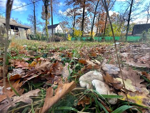 ділянка за адресою Кленова вул.