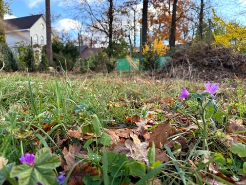 ділянка за адресою Кленова вул.