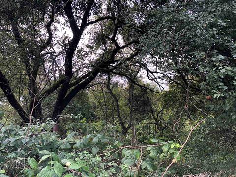 участок по адресу Брюховицкая ул.