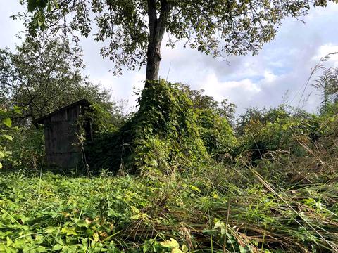 участок по адресу Брюховицкая ул.