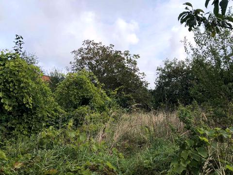 участок по адресу Брюховицкая ул.