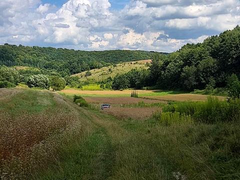 ділянка за адресою 