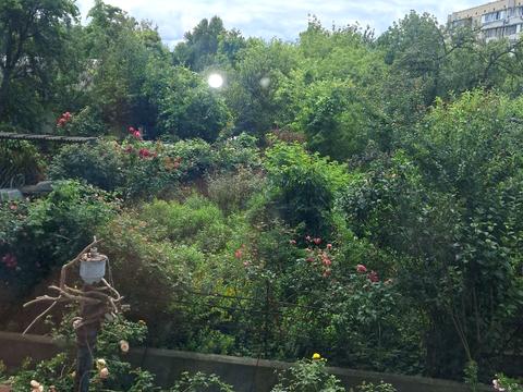 квартира по адресу Кучмин Яр пер. (Краснодонський), 4