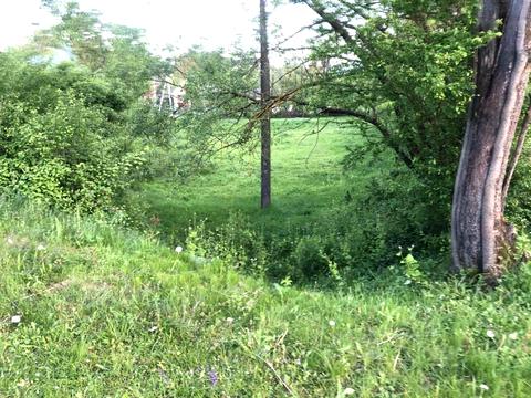 ділянка за адресою с. Голубине, урочище Ягниди вул.