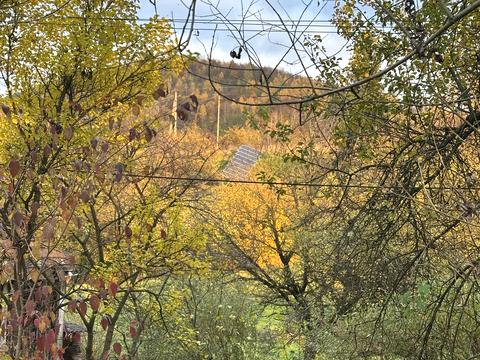 ділянка за адресою с. Голубине, урочище Ягниди вул.