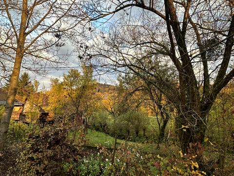 ділянка за адресою с. Голубине, урочище Ягниди вул.