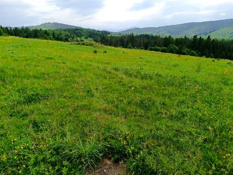 ділянка за адресою Івана Франка вул.