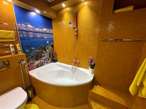 квартира по адресу Степана Рудницкого ул. (Вильямса академика), 3/7