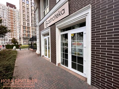 комерційна за адресою Михайла Максимовича вул. (Онуфрія Трутенка), 26-В