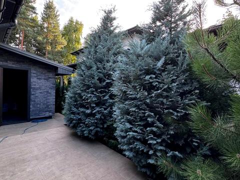 будинок за адресою ірпінський луг