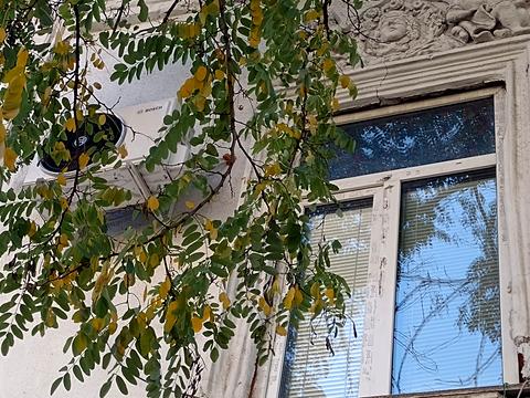 квартира за адресою Одеса, Новосельського вул., 78