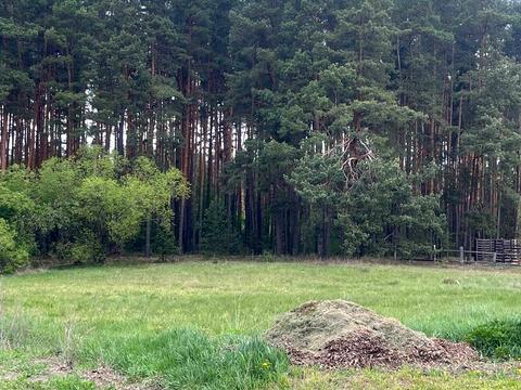 участок по адресу Заводська ул.