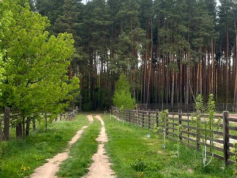 участок по адресу Заводська ул.