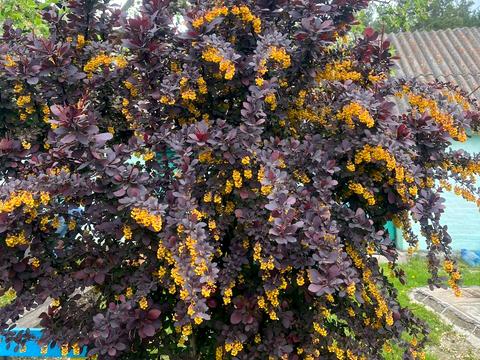 участок по адресу Заводська ул.