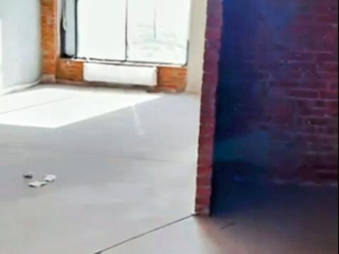 квартира по адресу Зверинецкая ул., 72