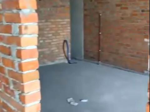 квартира по адресу Зверинецкая ул., 72