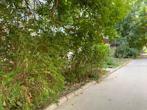 квартира по адресу Князя Владимира Великого просп., 149/2