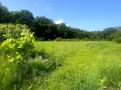 участок по адресу 