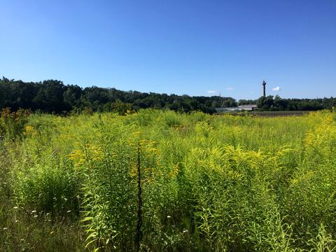 участок по адресу Посольська, 1