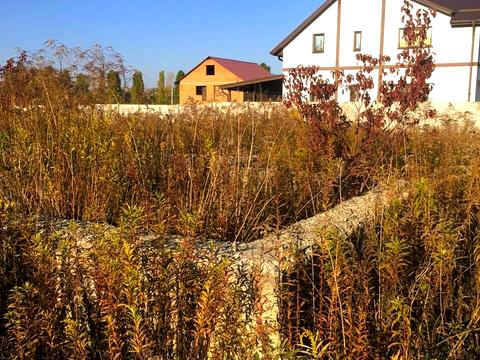 участок по адресу Посольська, 1