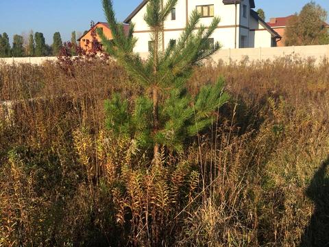 участок по адресу Посольська, 1