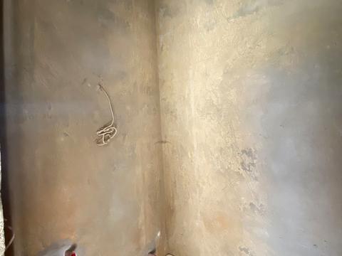 дом по адресу Богомольца ул., 66