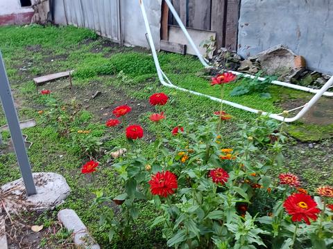 дом по адресу 1-й Парниковий пер.