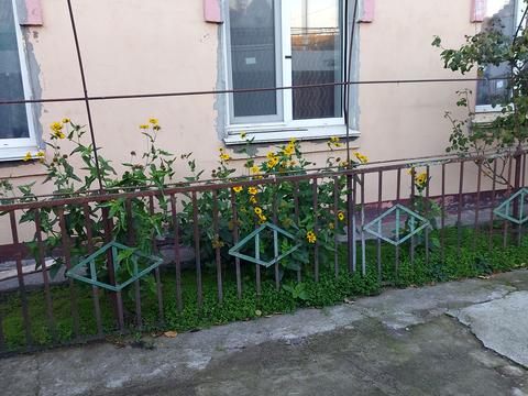 дом по адресу 1-й Парниковий пер.