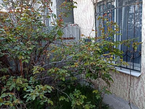 будинок за адресою Одеса, Жевахова вул.