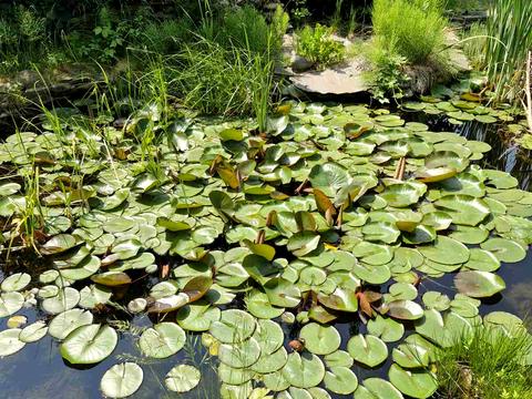 дом по адресу Польова, 20