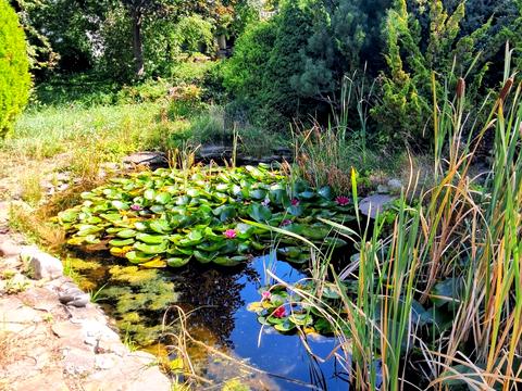 дом по адресу Польова, 20