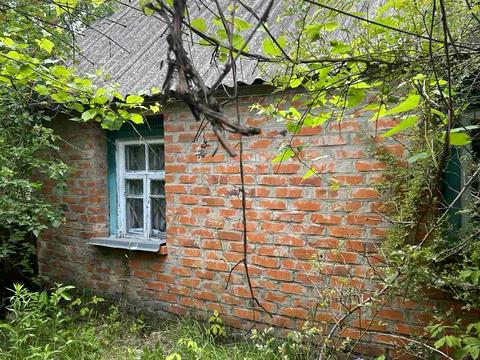 ділянка за адресою с. Вільшка, Івана Франка, 29