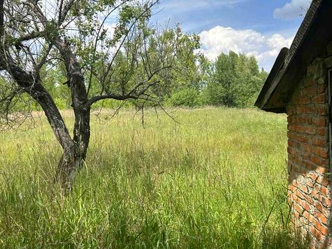 ділянка за адресою с. Вільшка, Івана Франка, 29