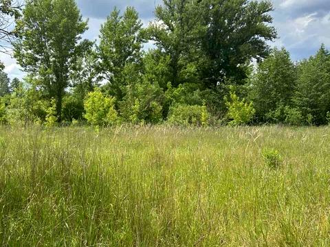 ділянка за адресою с. Вільшка, Івана Франка, 29