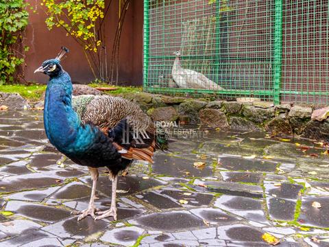 будинок за адресою Чумацький Шлях вул., 114