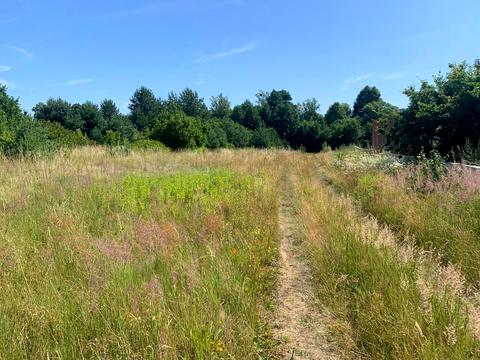 ділянка за адресою Глинянський Тракт вул., 60