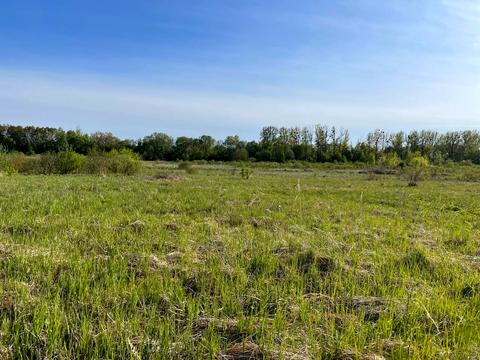 ділянка за адресою Глинянський Тракт вул., 60