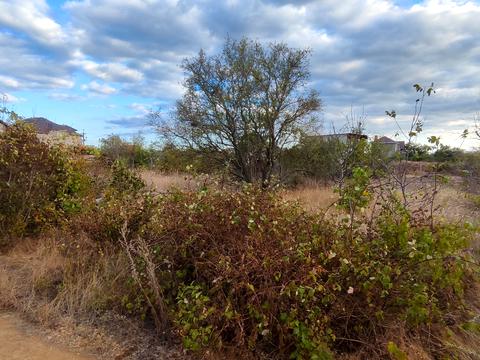 участок по адресу с. Молодежное, Ожинова, 1