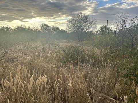 участок по адресу с. Молодежное, Ожинова, 1