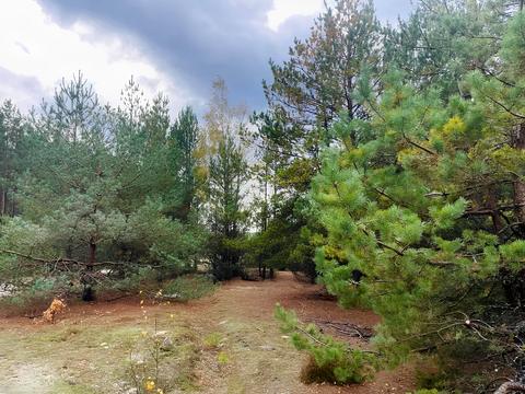 участок по адресу 