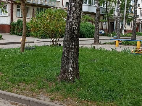 квартира за адресою Засумська вул., 15