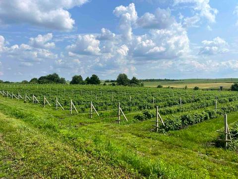 коммерческая по адресу Тараса Шевченко ул., 12