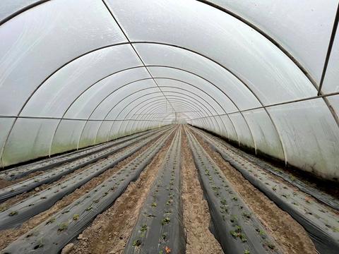 коммерческая по адресу Тараса Шевченко ул., 12